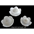 Bloemen doosjes SET